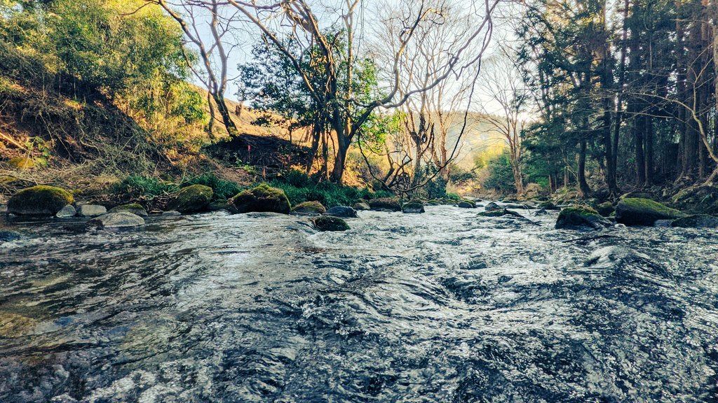 KOAMIGAMEのサウナ室の前を流れる大北川