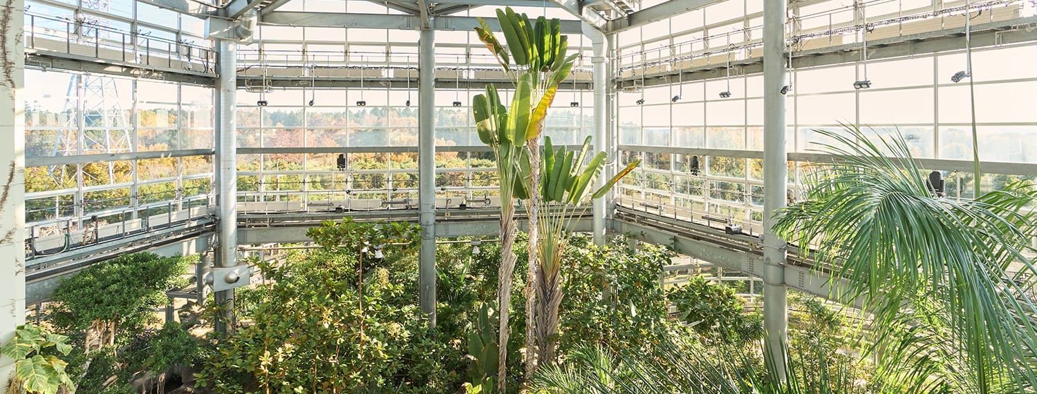 THE BOTANICAL RESORT 林音の熱帯植物館の内部